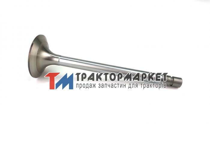 Клапан МТЗ впускний 30 градусів (вир-во МТЗ)